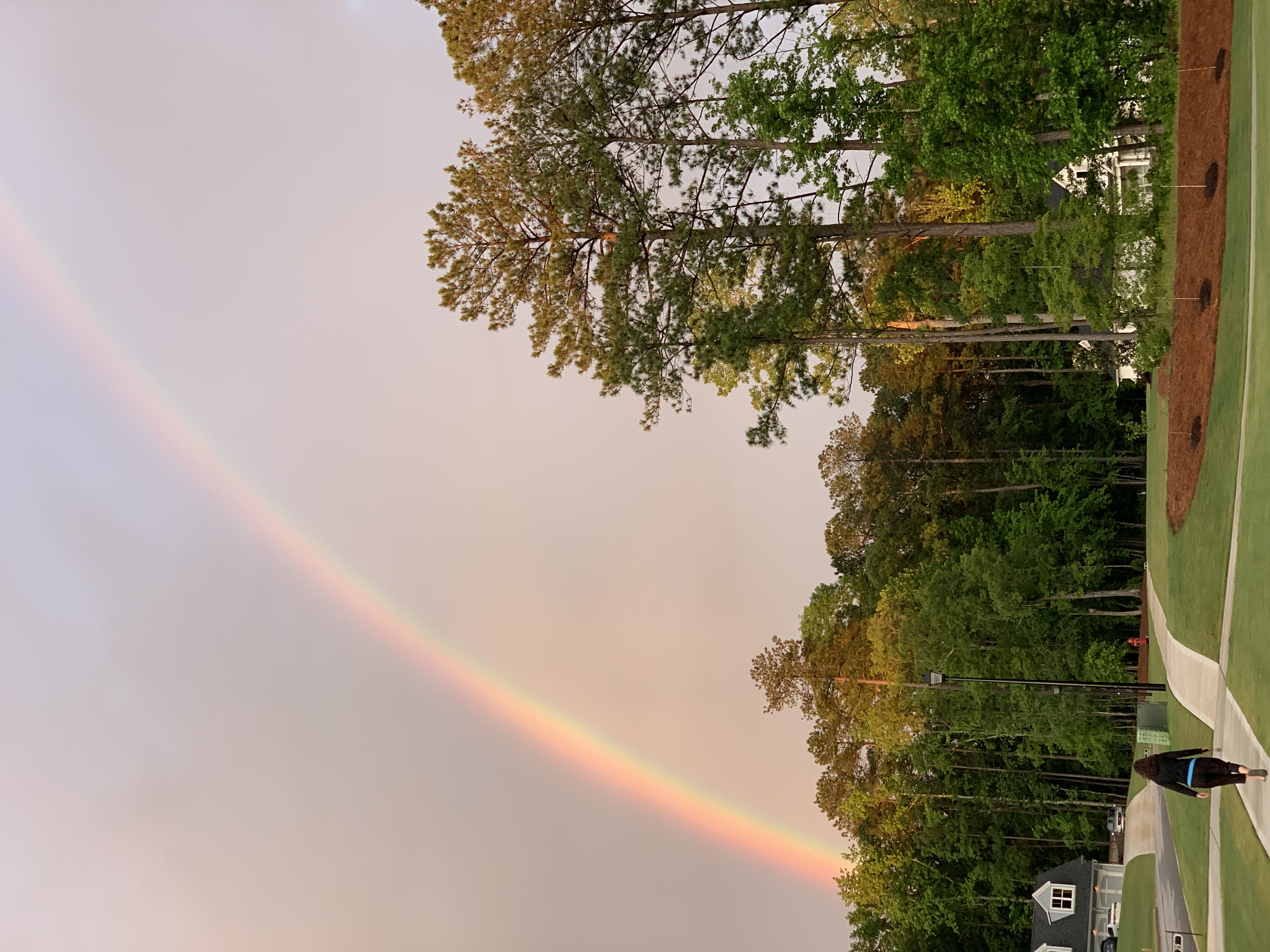 bizunderrainbow