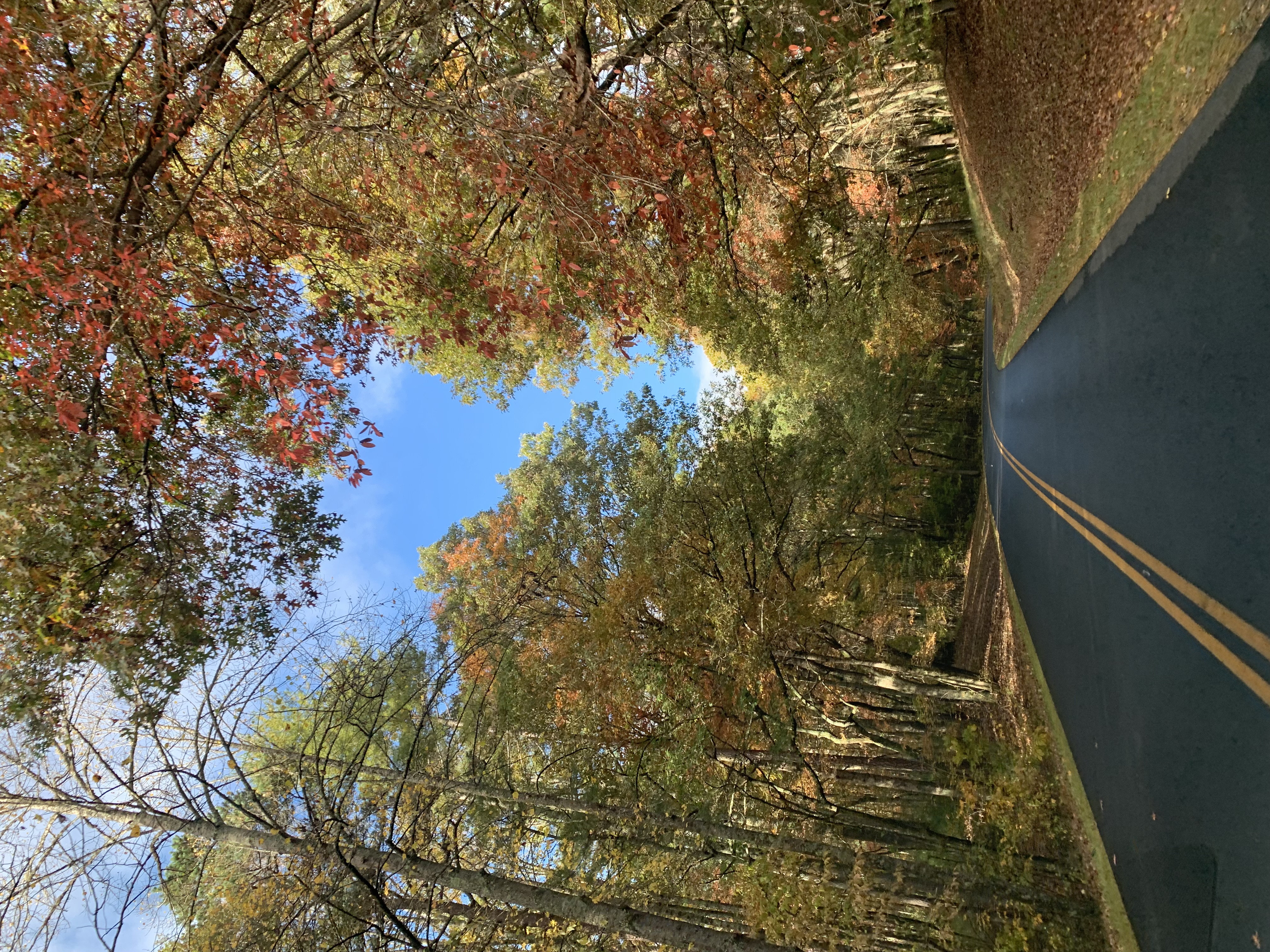 blueridgepkwy
