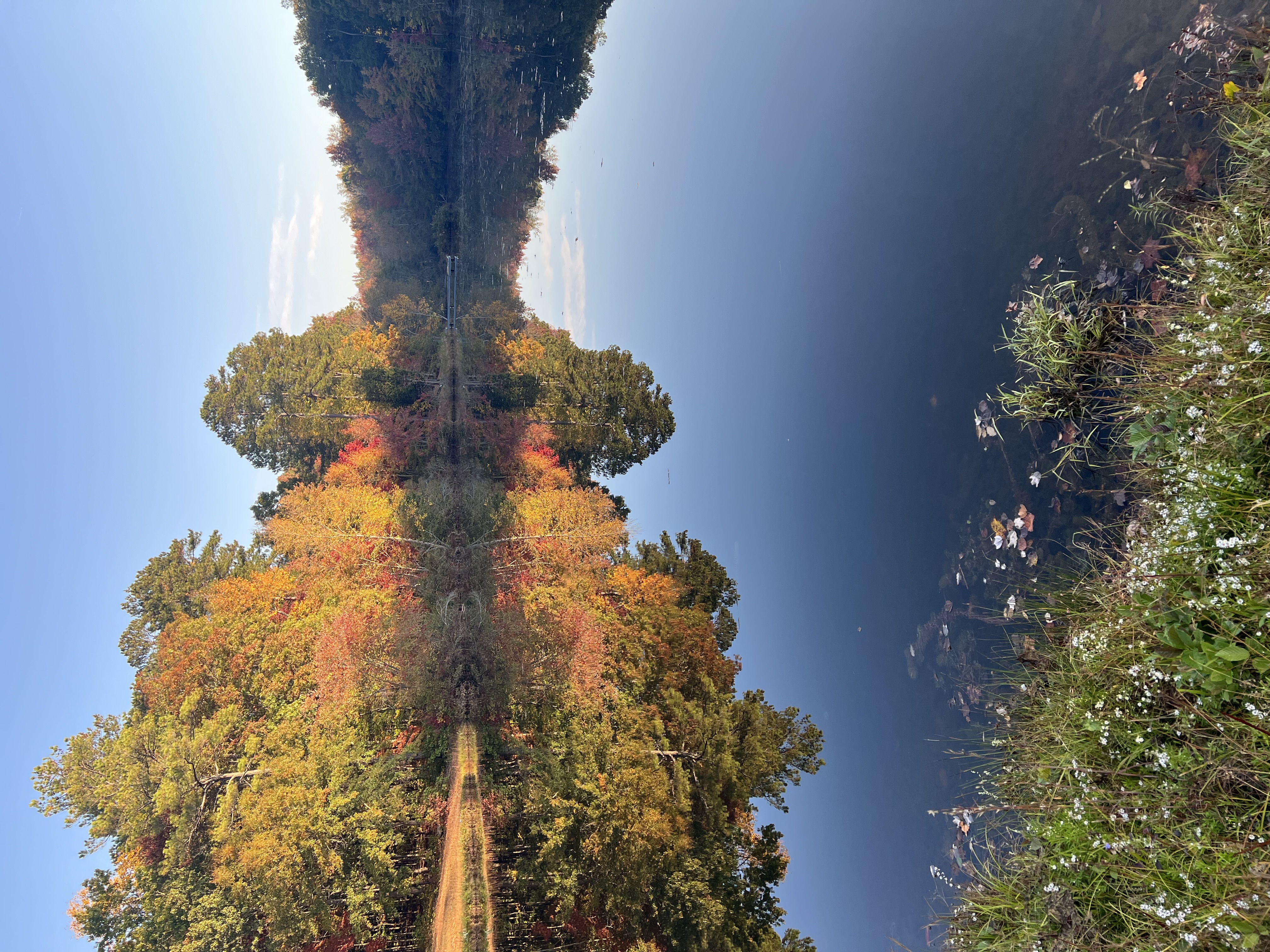 cabinrdfall