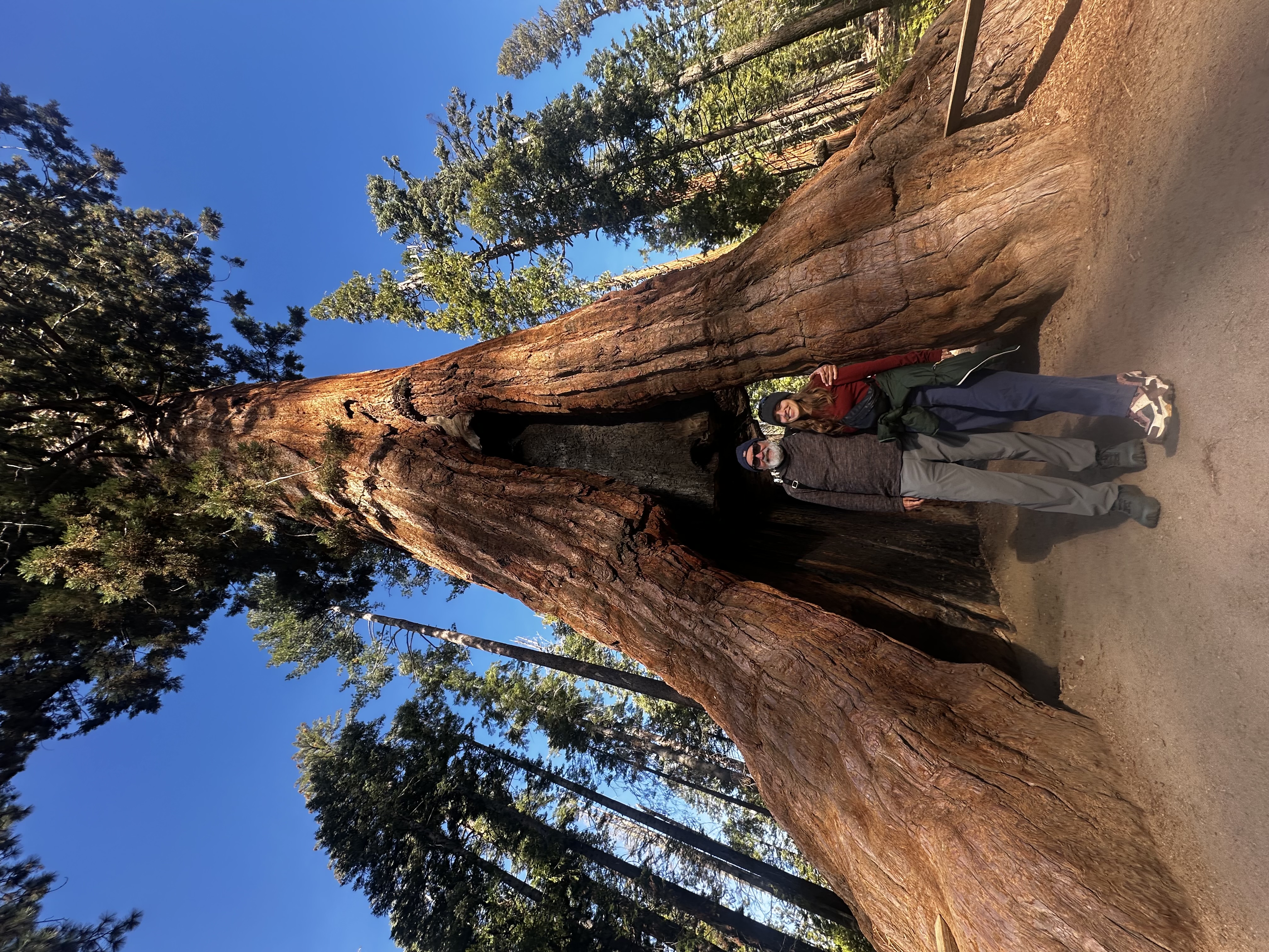 danerinyosemite2025